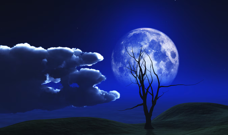 सर्वपित्री अमास्येला काय करावे??