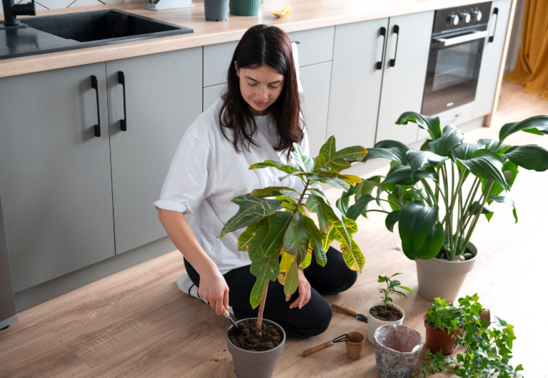 स्वयंपाकघरातील गार्डेनिंग: घरच्या बागेत ताजे पदार्थ उगवण्याचे फायदे | Kitchen Gardening in Marathi