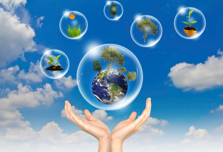 पर्यावरणीय बदल व त्याचा स्थानिक भागात होणारा परिणाम | Climate Change in India